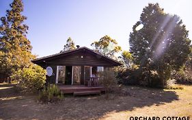 Jaya'S Place